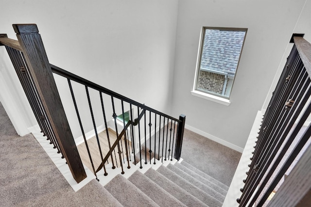 stairway featuring carpet