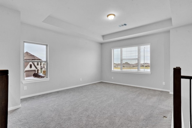 spare room featuring a raised ceiling and carpet