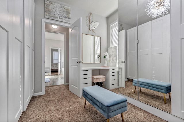 bathroom featuring wood-type flooring