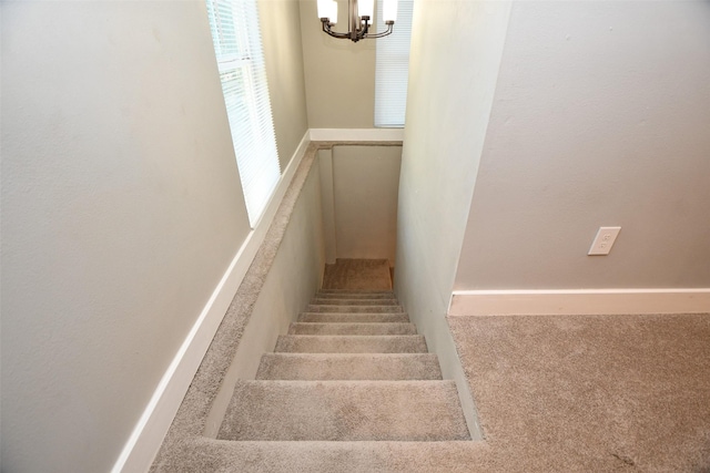 staircase featuring an inviting chandelier and carpet flooring