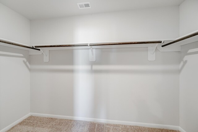 spacious closet featuring light colored carpet