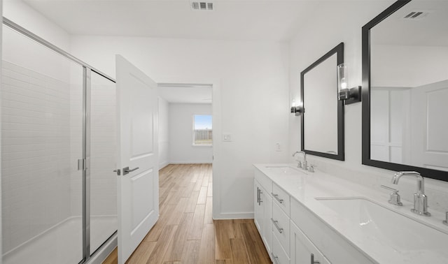 bathroom with visible vents, a sink, and wood finished floors