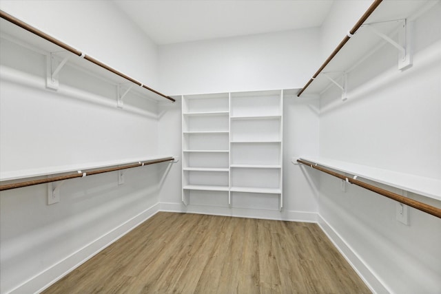 spacious closet featuring light hardwood / wood-style floors