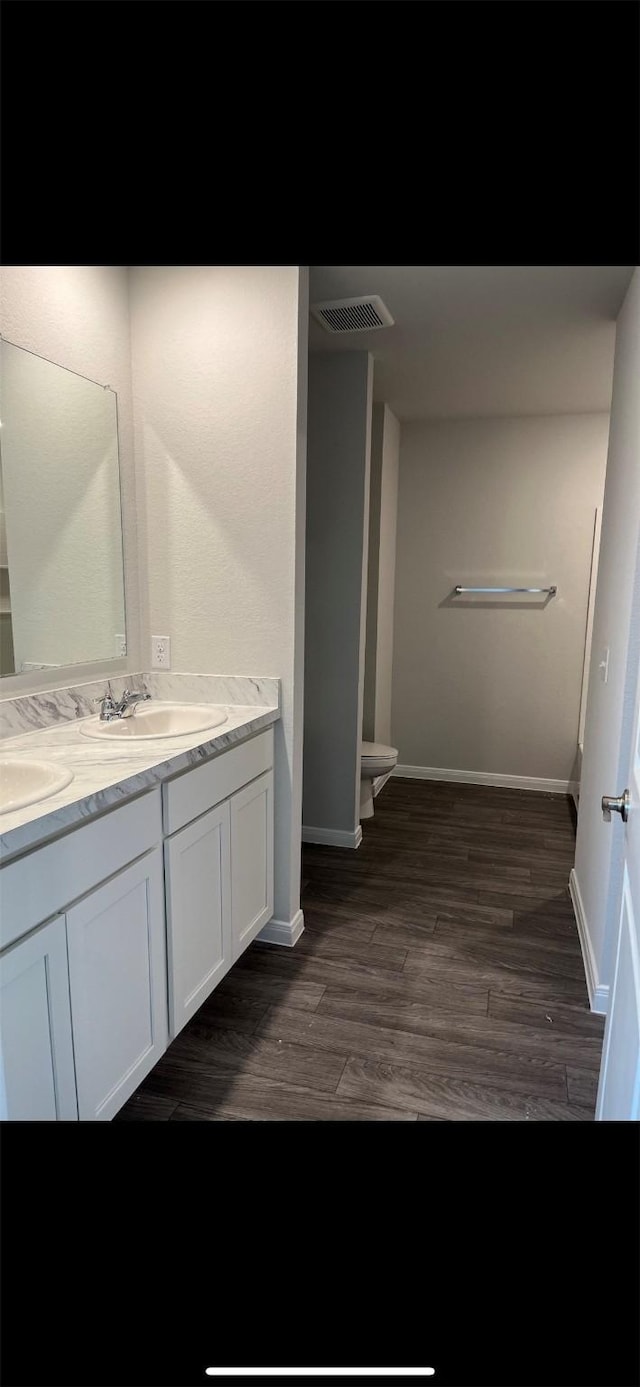 bathroom featuring wood-type flooring and vanity