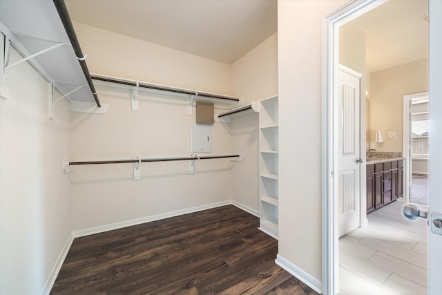 spacious closet featuring electric panel and dark hardwood / wood-style floors