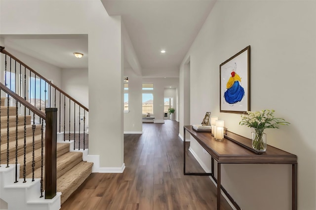 entrance foyer featuring dark hardwood / wood-style floors