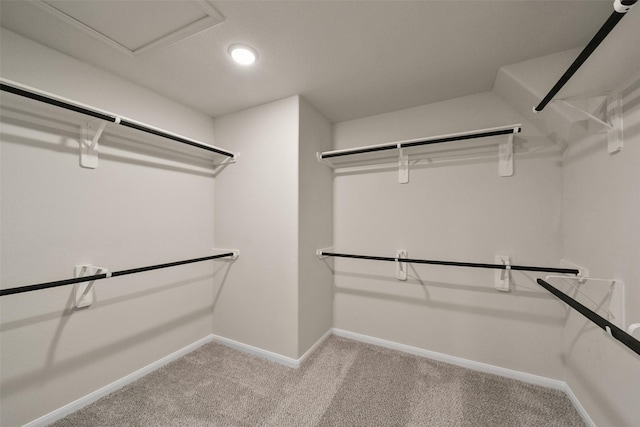 spacious closet featuring light colored carpet