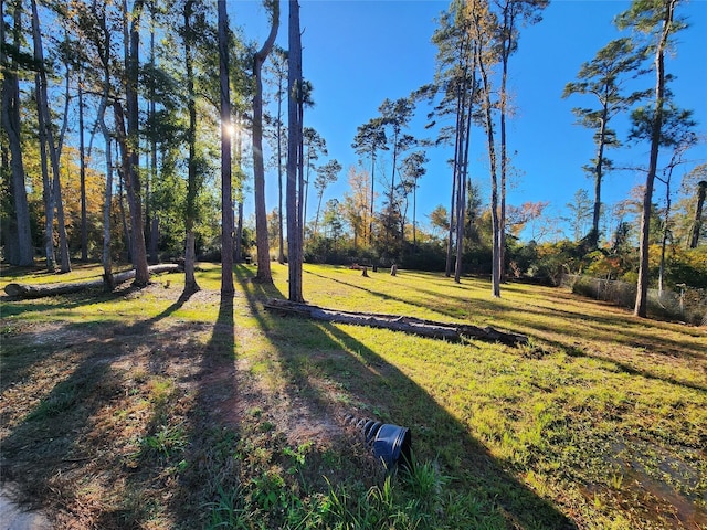 Listing photo 2 for 350 Brahman, Onalaska TX 77360