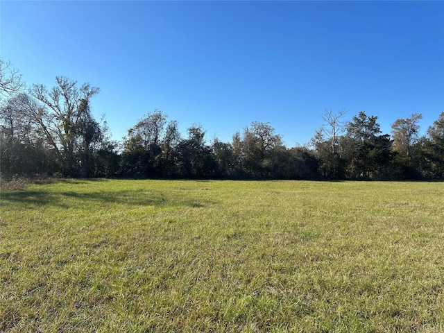 Listing photo 3 for 00 Fm-1736, Hempstead TX 77445