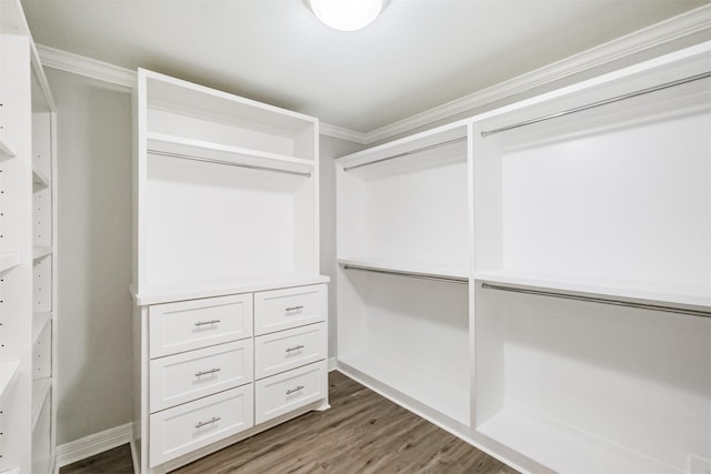 spacious closet with dark wood-type flooring