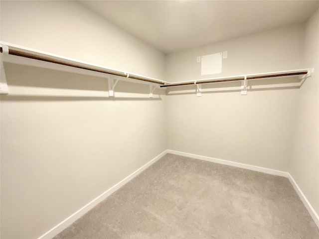 spacious closet with carpet flooring