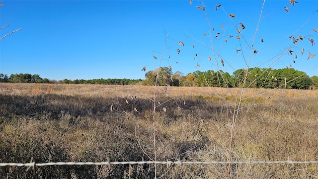 Listing photo 3 for TBD Podraza Rd, New Waverly TX 77358