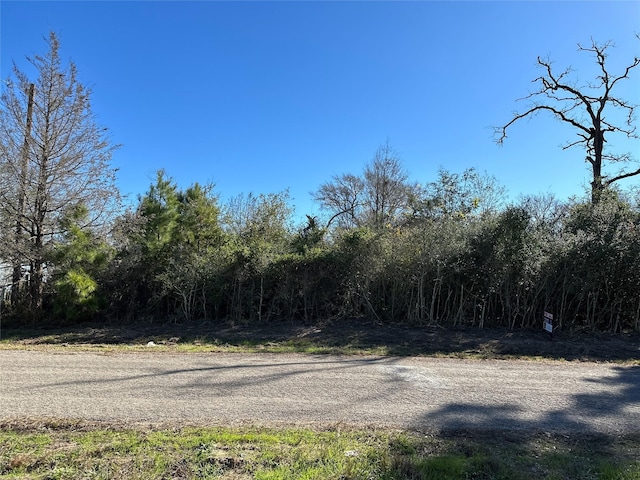 Listing photo 3 for TBD Shannon St, Hempstead TX 77445