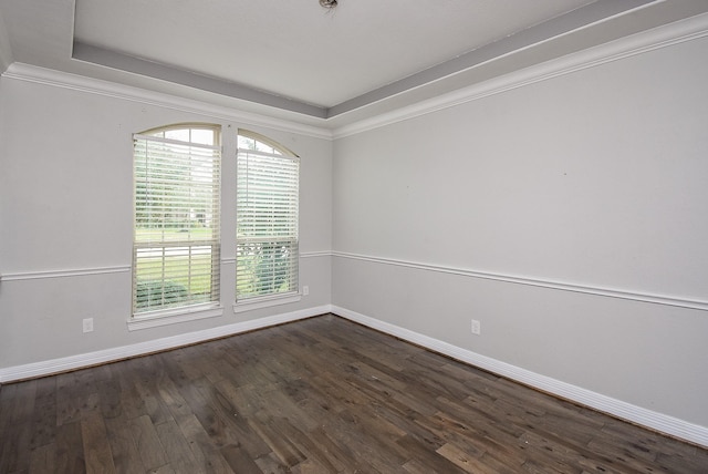 unfurnished room with dark hardwood / wood-style floors and a raised ceiling