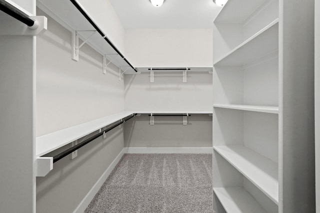 spacious closet with carpet floors