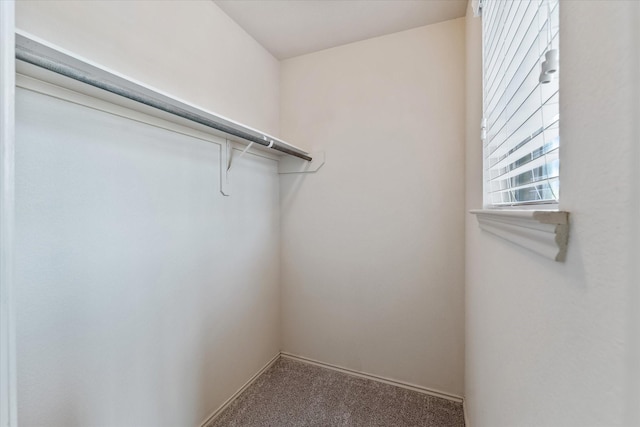 spacious closet featuring carpet floors