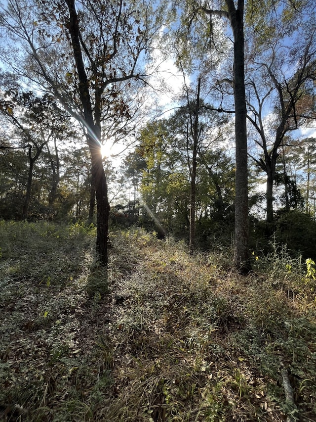 26870 E Lazy Ln, Magnolia TX, 77355 land for sale