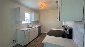 kitchen with white cabinetry, dark hardwood / wood-style floors, sink, and backsplash