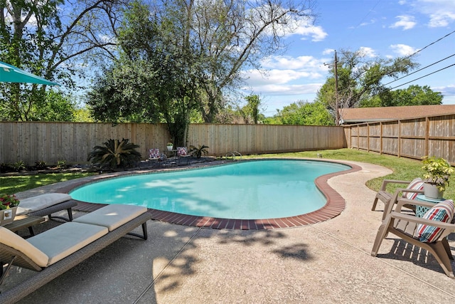 view of pool featuring a patio