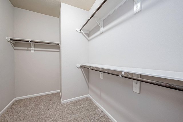 spacious closet featuring carpet floors