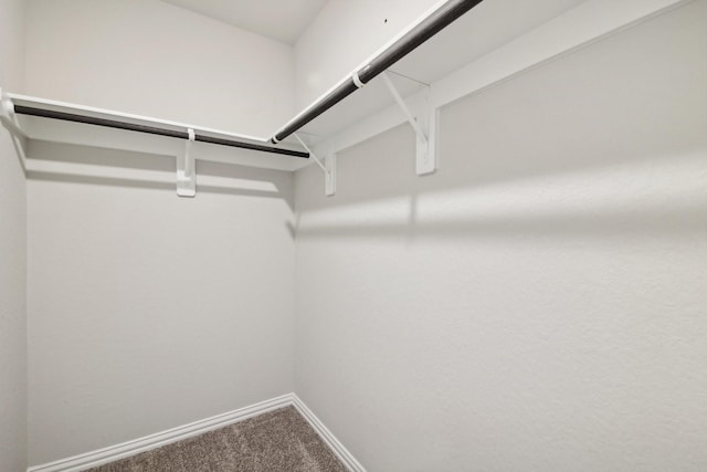 spacious closet with carpet