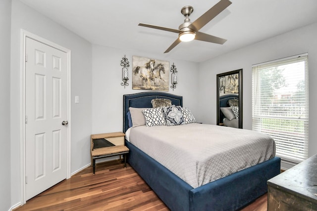 bedroom featuring ceiling fan and dark hardwood / wood-style flooring