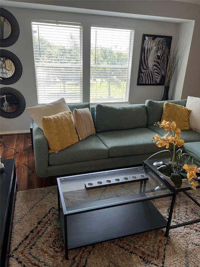 living room featuring a wealth of natural light and dark wood-type flooring