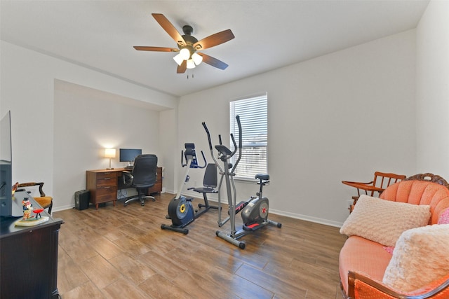 exercise area featuring wood-type flooring and ceiling fan