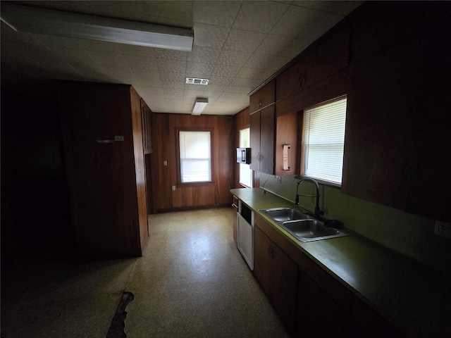 kitchen with plenty of natural light, wood walls, and sink