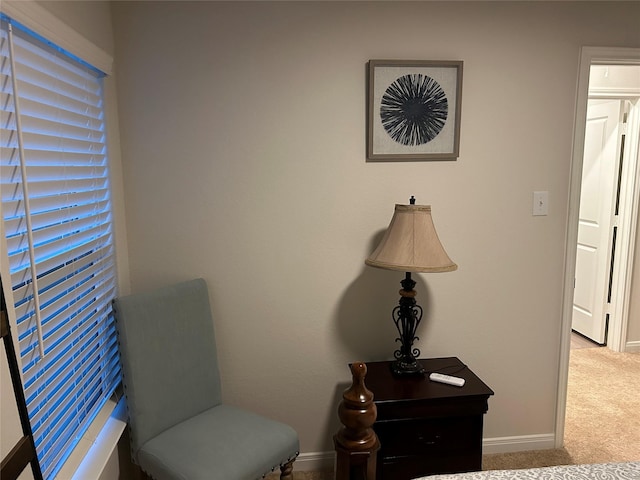 sitting room with light carpet