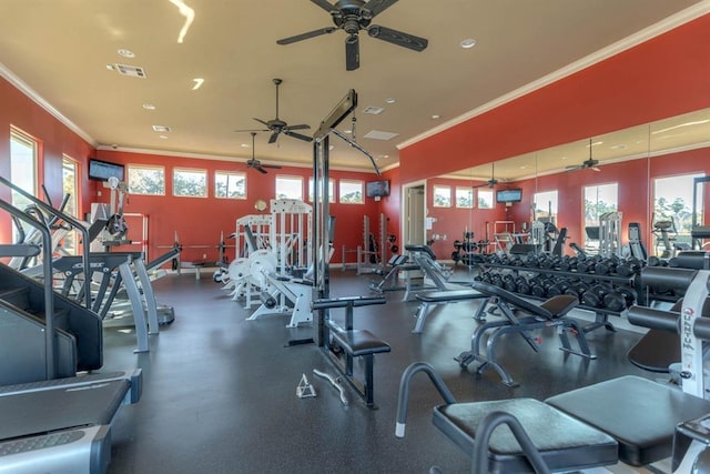 exercise room with plenty of natural light, crown molding, and ceiling fan