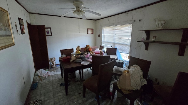 dining room with ceiling fan and ornamental molding