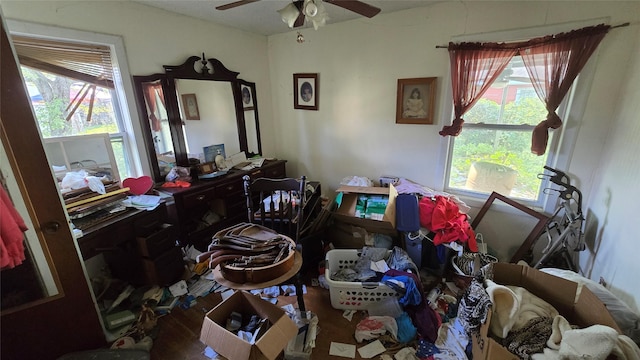 miscellaneous room with hardwood / wood-style floors, ceiling fan, and a healthy amount of sunlight