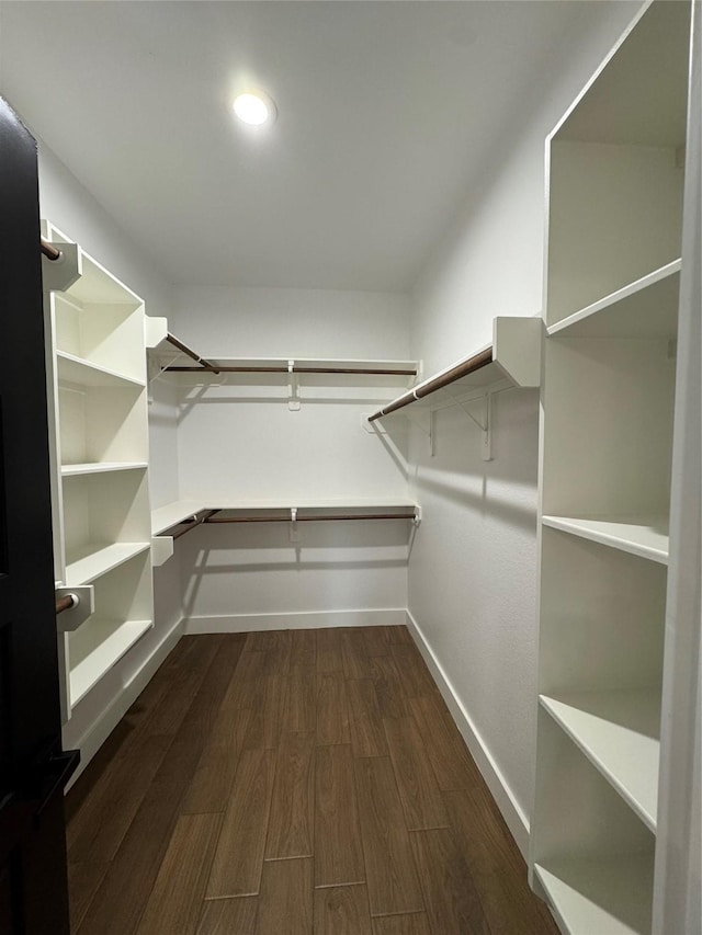 walk in closet featuring dark hardwood / wood-style floors