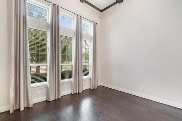 doorway featuring a wealth of natural light, dark hardwood / wood-style floors, and ornamental molding