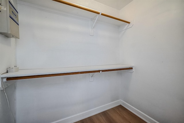 spacious closet with hardwood / wood-style floors