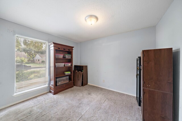 interior space with a textured ceiling and light carpet