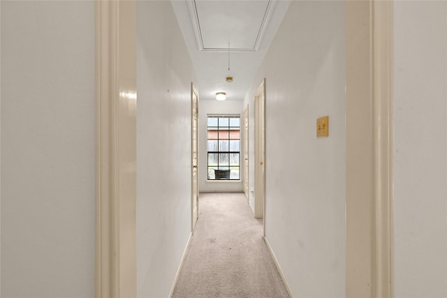 hallway featuring light carpet