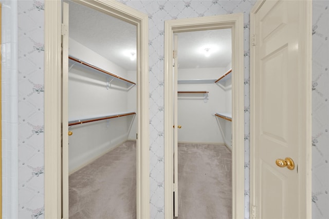 spacious closet with light carpet