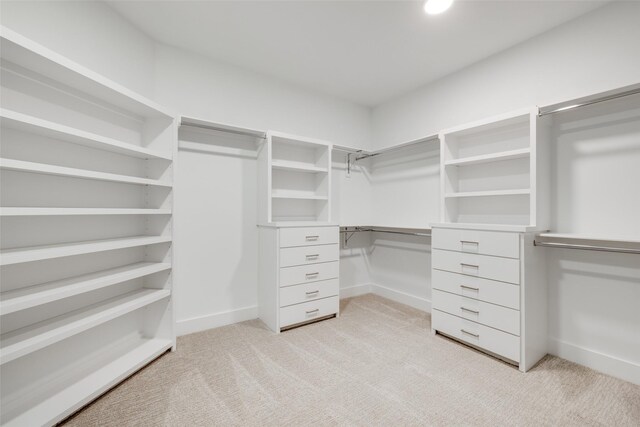 spacious closet featuring light colored carpet