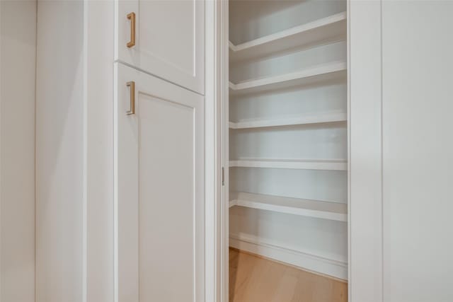 view of closet