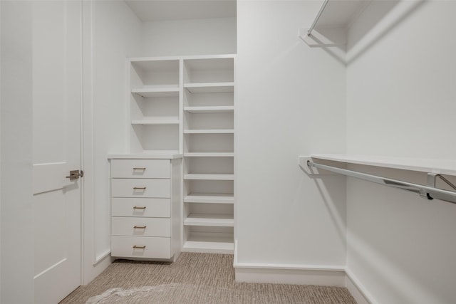 spacious closet featuring light colored carpet