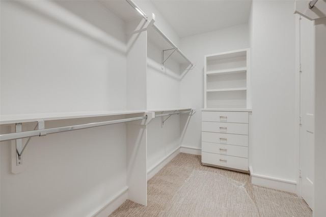 spacious closet with light colored carpet