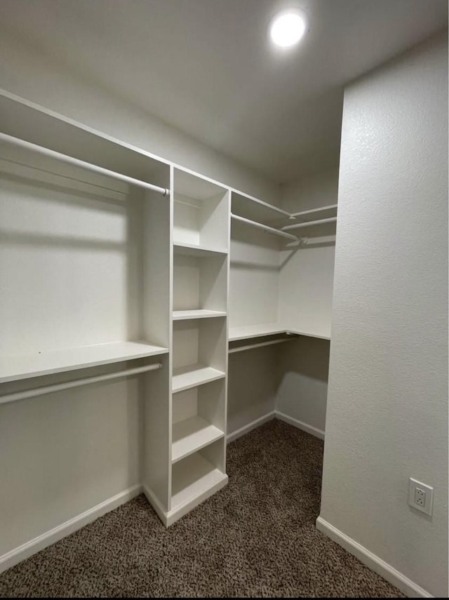 walk in closet with dark carpet