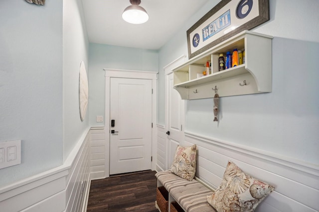 mudroom with dark wood-type flooring