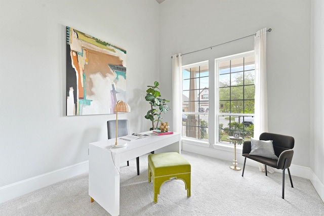 carpeted office with a wealth of natural light