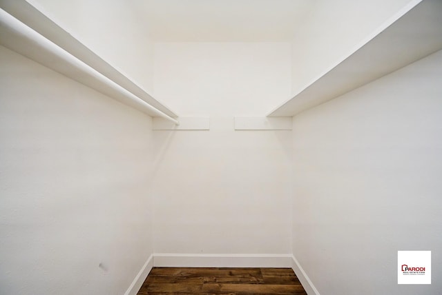 walk in closet featuring dark hardwood / wood-style floors