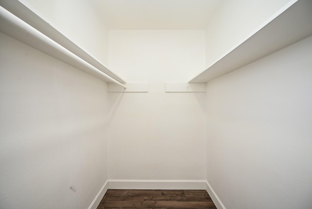 spacious closet featuring dark hardwood / wood-style flooring