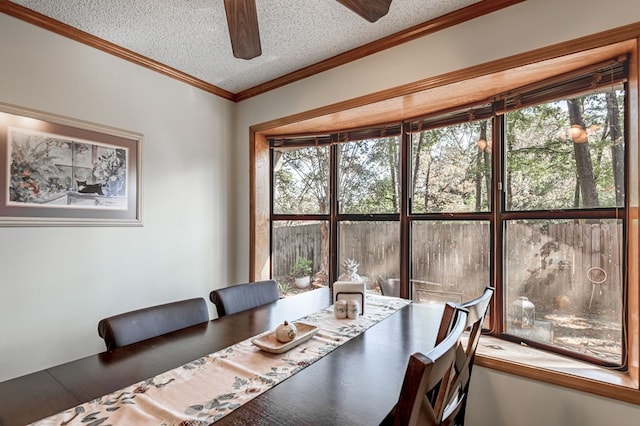 dining space featuring ceiling fan, crown molding, and a textured ceiling