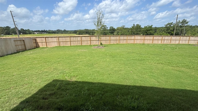 2925 Terrace Grove Dr, Conroe, TX 77304 - view of fenced backyard